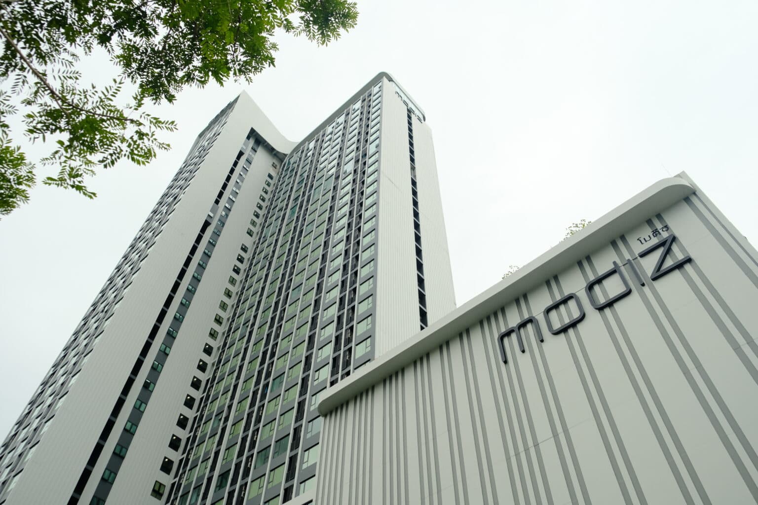 Modiz Avantgarde รังสิต 1